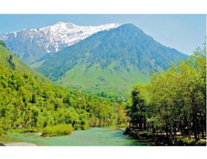 Hotel Amarnath Palace, Pahalgam